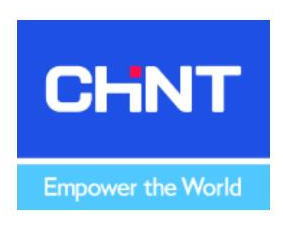 Chint